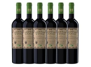 Doppio Passo Primitivo Bio IGT Puglia - 6er Karton