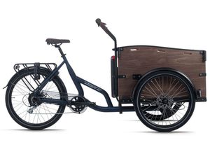 Adore Cargo E-Bike Urban Deluxe blau 250W 36V/13 Ah Li-Ion-Akku