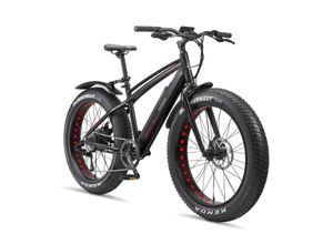 Telefunken 26 Zoll MTB Fatbike E-Bike Aufsteiger FM350