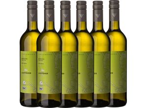 Lauffener Weingärtner Lauffener ECOVIN Riesling trocken QbA 0,75l - 6er Karton