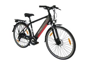 Trekking E-Bike MT 11 mit Heckmotor