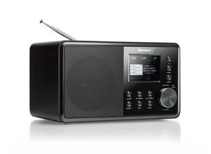 Kärcher Digitalradio DAB 3000