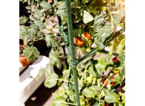 Tomaten-Rankturm 150x30 cm