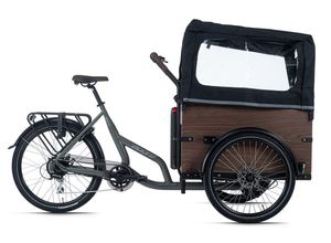 Adore Cargo E-Bike Urban Deluxe grau 250W 36V/13 Ah Li-Ion-Akku