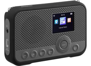 Sangean WFR-39 tragbares Internetradio grau/schwarz