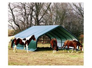 50NRTH ShelterLogic Weidezelt Run-In-Shed 40,87 m² grün