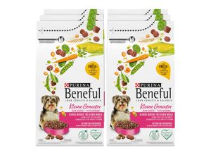 PURINA BENEFUL Hundefutter trocken Kleine Genießer mit Rind und Gartengemüse 1,4 kg, 6er Pack