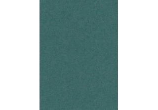 Carta Da Parati Erismann Verde Pianura - 661608 - 53 Cm X 10,05 M