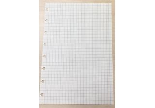 Filofax A5 Taccuino Notizpapie