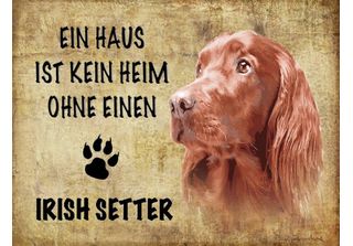 Vianmo Insegna In Legno 30X40 Cm Irish Setter Hund