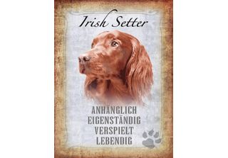 Vianmo Insegna In Legno 40X30 Cm Irish Setter Hund