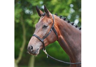 Cavezza Busse - Nero, Taglia:Pony (S)