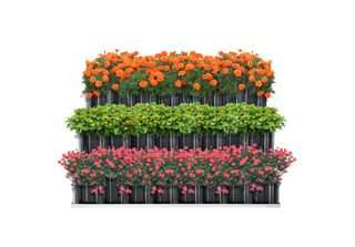 Renswoude Aiuola A 3 Livelli 118X118X60Cm Aiuola Da Giardino A Più Livelli Aiuo…