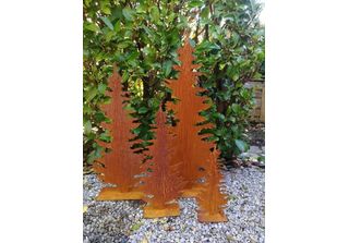 Abete Edelrost Leander, Abete Stretto Leander - 100 Cm