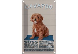 Vianmo Insegna Di Latta 18X12 Cm Cavapoo Hund SüSs Freundlich