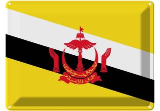 Vianmo Insegna Di Latta 30X40 Cm Bandiera Bruneis Flag Of Brunei