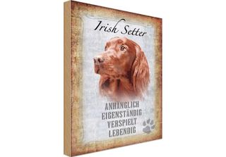 Vianmo Insegna In Legno 18X12 Cm Irish Setter Hund