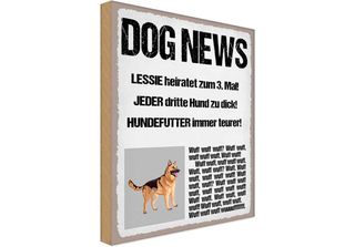 Vianmo Insegna In Legno 40X30 Cm Dog News Leesie Heiratet Zum 3
