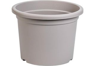 Confezione Plastia Daffodil - Taupe 19 Cm