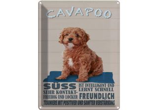 Vianmo Insegna Di Latta 40X30 Cm Cavapoo Hund SüSs Freundlich