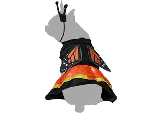 Bigbuy Pets Costume Per Cani Butterfly Taglia M