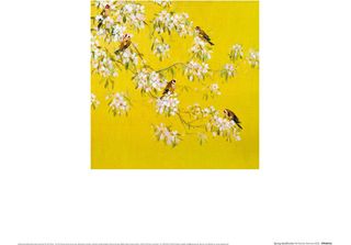 Fletcher Prentice - Poster Con Cornice "Cardellini Di Primavera"" PM3886 (30 Cm…