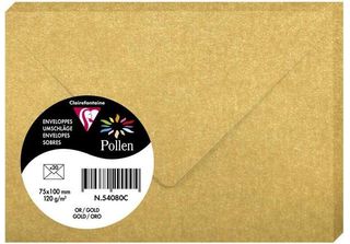 Pollen By Clairefontaine 54080C Pollen By Clairefontaine Busta Mini, Oro