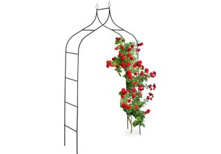 Relaxdays Arco Di Rose Alto 255 Cm