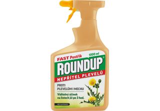 Roundup Fast Senza Glifosato 1L Spray