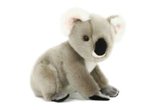Semo Koala Piccolo 29Cm Edizione Premium