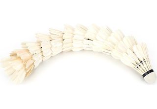 Badminton, Palline Da Badminton, Volani Da Badminton, Piuma Di Volano Da Badmin…