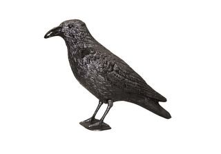 Swissinno Repellente Per Piccioni "Raven"