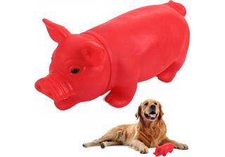 Cane Giocattolo Maiale Masticare Squeaker Maiale
