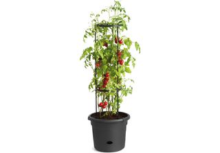 Eduplay 110470 Vaso Per Pomodori, Nero