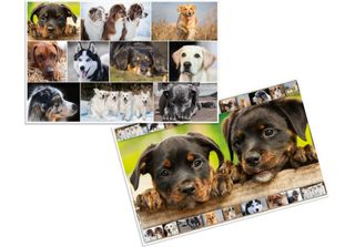 Herma 19378 Herma Schreibtischunterlagen Hunde