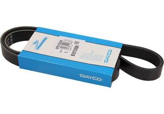 Dayco Cinghia Multirighe 6PK1004K
