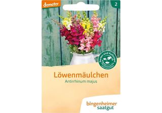 Snapdragon - Antirrhinum Majus