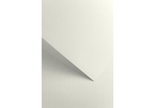 Galeria Papieru Carta Decorativa Florida Bianca 220G, 20Pz