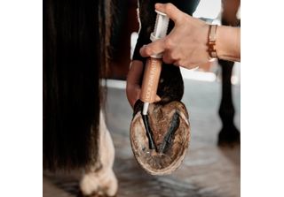 Grooming Deluxe Zinc Paste Equi Hoof Cura Dello Zoccolo