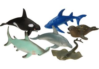 Animali Marini Mondo Animale