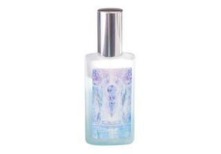Seelentor Essence - Essenza Turchese 50Ml