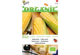Buzzy Organic Sweetcorn Golden Bantam - Semi Biologici - Circa 3 Gr | Buzzy_924…