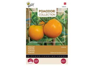 Buzzy Pomodori Pomodoro Arancia Semi - Circa 1,5 Gr | Buzzy_028435
