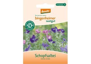 Salvia Crestata - Salvia Viridis
