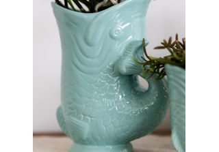 Orchidee Colibrì Orchidea Phalaenopsis Bianca - Amabilis + Vaso Per Pesci Turch…