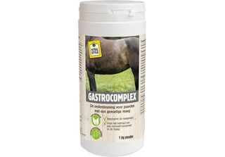 Vitalstyle Gastrocomplex 1 Kg Polvere
