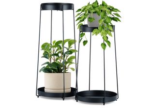 Set Di Due Composizioni Floreali In Metallo Nero Su Due Livelli