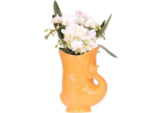 Orchidee Colibrì Orchidea Bianca Nazaré + Vaso Per Pesci Arancione - Misura Del…