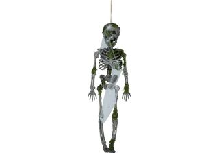 Scheletro Deco Mossy Antique Design Halloween Deco Scary Horror Hanging 40 Cm F…