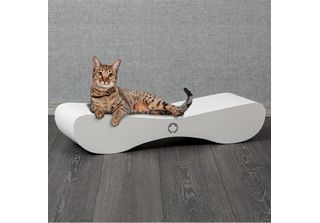 Tavola Scratch Satellite 2.0 - Edizione Bianca - Tavola Scratch Xl